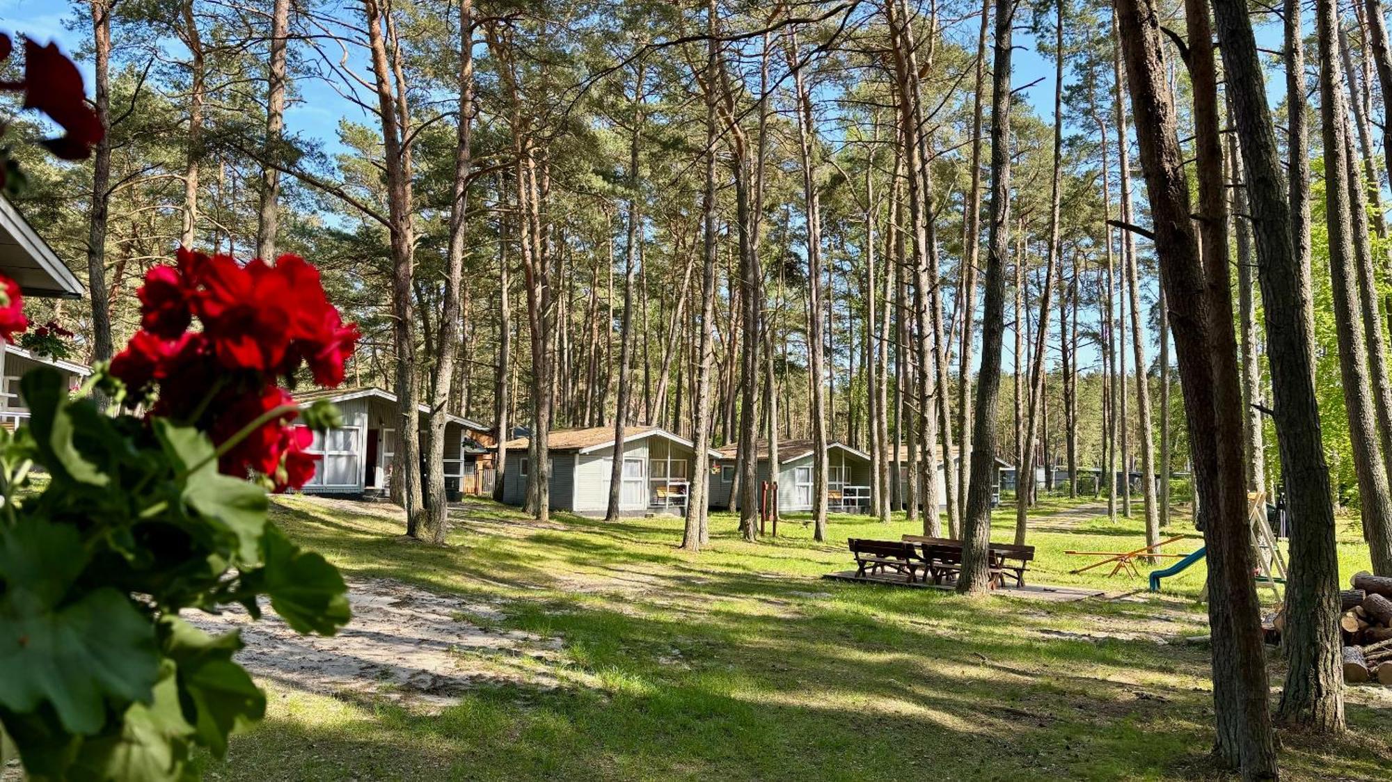 Villa Lesna Przystan Pobierowo Esterno foto
